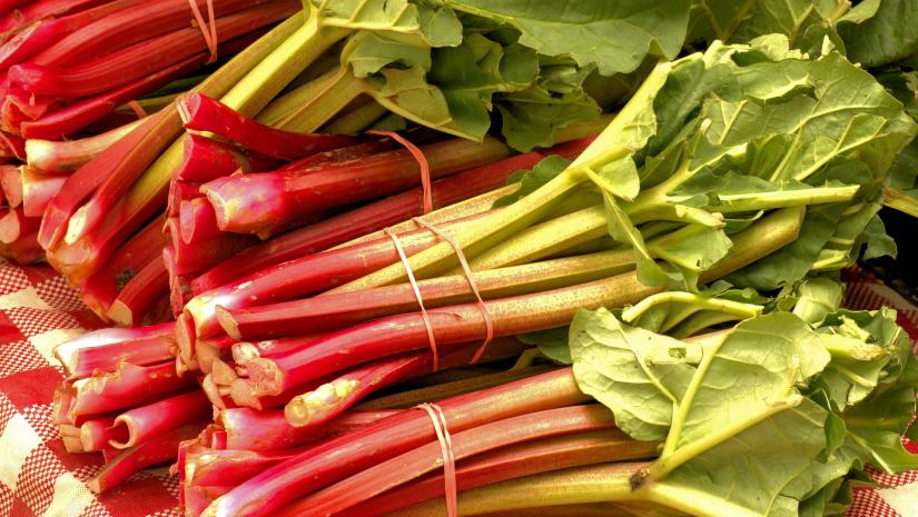 market-fresh-rhubarb-3503166_1920