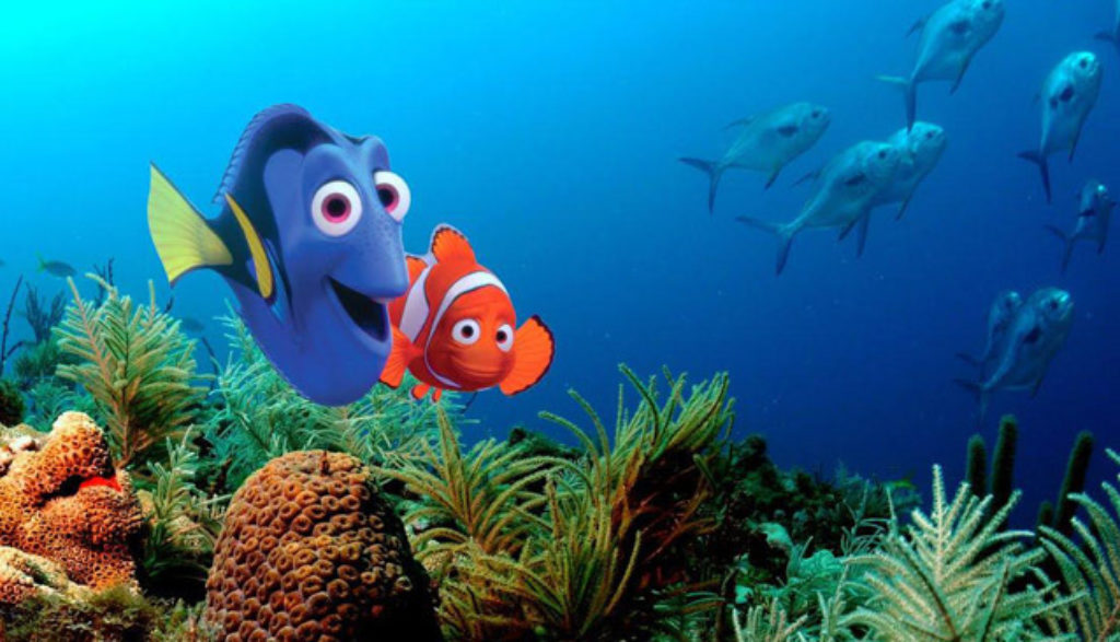 finding-nemo-review-image-2-1-1024x587