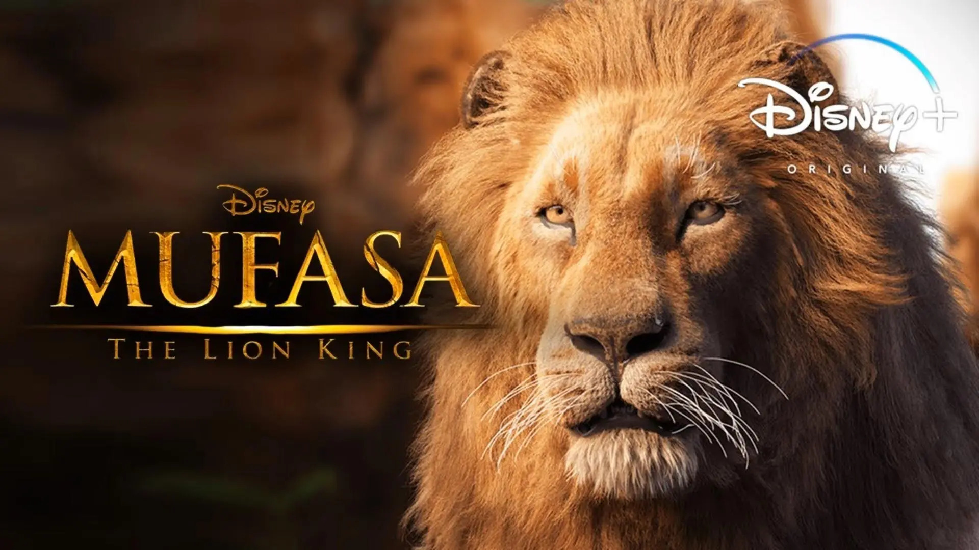 mufasa-lion-king-live-action-face-of-a-lion_9_11zon