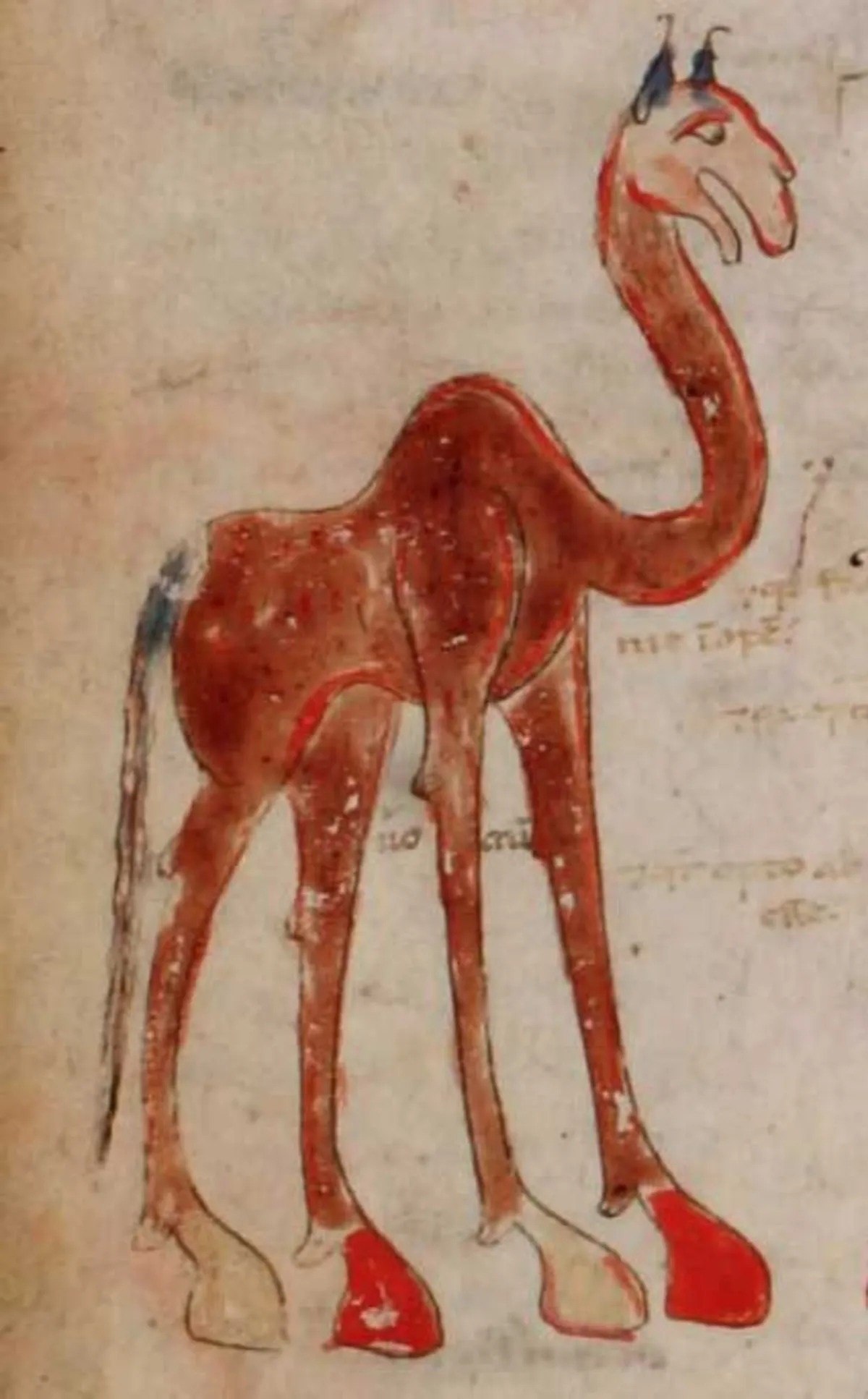 medieval-camel-65a1691ddb28d1d08cc7db69_11zon