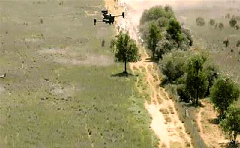 پهپادی که چوپان شد