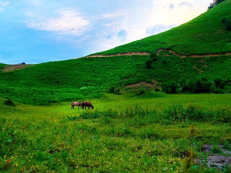 دشت هویج کجاست و چه جاذبه‌هایی برای گردشگری دارد؟/ تصاویر