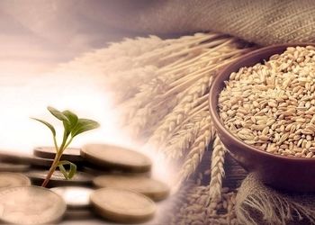 زکات فطره میهمان به عهده میزبان است؟