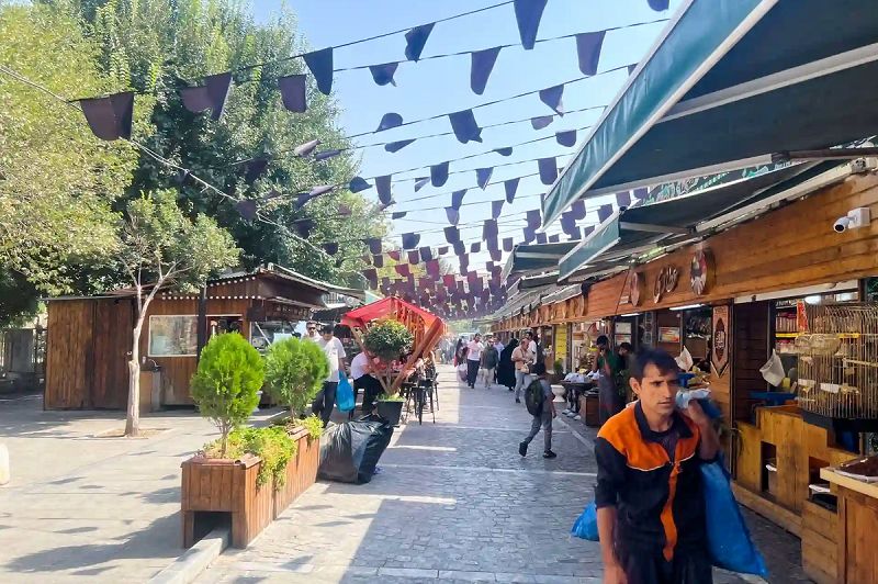  «خیابان باب همایون، وقتی خاکی بود»/ عکس